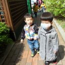 화창태권도장 이미지