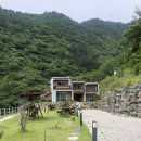 별밤지기와 섬농부 | 별밤지기와 섬농부 | 울릉도 깨끗한 숙소 추천 | 울릉도 신혼여행 펜션 | 울릉도 배 결항시 팁