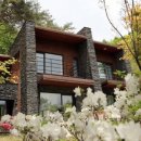 포레스트리솜 이미지