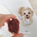 댕꼬미다 이미지