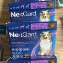 우리시민약국 | 약국성지] 넥스가드 스펙트라 가격 문의 :: 고은약국 vs 인천시민약국 강아지의약품 구매후기 🐕 🙋🏻‍♂️ 🙋🏻‍♀️