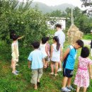 사슴이랑 배랑 농원 이미지