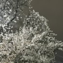 미원회식당 이미지