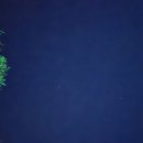 일원본-108 | [양산] 2025 국가유산 미디어아트 양산 통도사 주말 방문 후기(feat. 양산 통도사 메밀꽃)