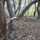 백천농장 이미지