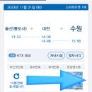 20231121 수원KT소닉붐 VS 원주DB프로미 직관 후기 ( 후니 제대 후 첫 직관 )