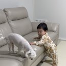 수통골감나무집 이미지