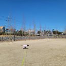 석림근린공원 화장실 이미지