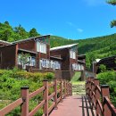 남해편백자연휴양림 이미지