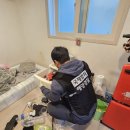 섬마을 유통 이미지