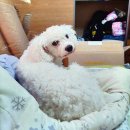 대구광역시서구보건소 이미지