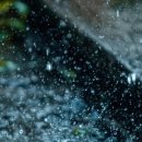 핑크노이즈 이미지