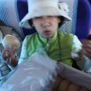 제주 첫날(삼양해수욕장-연북정-덕인당보리빵-함덕해수욕장-김녕해수욕장-우도트레킹-별방성-절물자연휴양림) 이미지