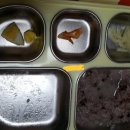 미추홀구청어린이집 이미지