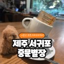 구조라별장 | 제주 커피오마카세 중문별장 주차 귤 체험 카페 후기 정리