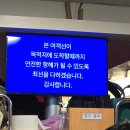 울릉도와 독도이야기펜션 | 울릉도 여행1🏝 (24.8.27-24.8.29)[울릉도와 독도이야기 펜션, 신비섬 횟집, 내수전몽돌해변]