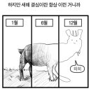 뺑드램