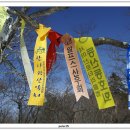 갤러리 1514 이미지