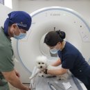 윤성진 안과/외과 동물병원 이미지