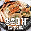 박달시장 | 포항죽도시장대게맛집 청춘대게 박달대게 저렴 먹은 후기 포항 죽도시장 대게 맛집 추천