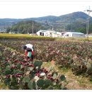 재섭농장 이미지