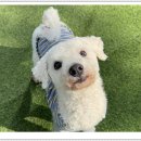 아이조아 요양보호소 서울점 이미지