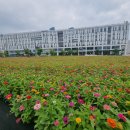 어진교차로 이미지