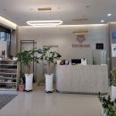 성심 부분정비 | 군산 미장동 피넛브로우 &lt;군산에서 섀도우눈썹, 속눈썹펌, 입술색소 가장 예쁘게 하는 곳/시술 후기&gt;