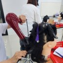 강남로(남) | 용인뷰티아카데미 꿈을 현실로 만들어준 학원 후기