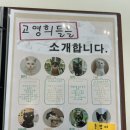 안녕, 고영희 이미지