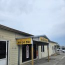 2박3일 제주도여행 렌트카 업체 조아렌트카 내돈내산 이용후기