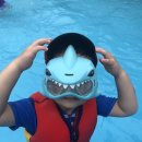 잉어물놀이 이미지