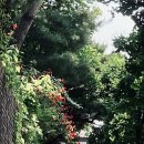 수향산방 이미지