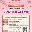 행복하개 이미지