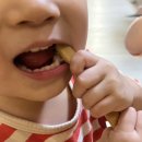 노아어린이집 | 닥터노아 대나무 아기 칫솔, 맛있는 어린이 치약 실사용 후기