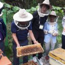 갤러리부동산중개사무소 이미지