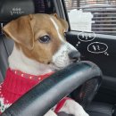 우하하 네이버블로그