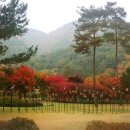 공작산생태숲 이미지