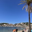 산들샬레 이미지