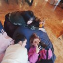 반디헌 | [제주도 여행, 사진 여행, 크리스마스 여행] 제주도 제주시, 서귀포시 1,2일차 ( 금능해변, 아베끄...