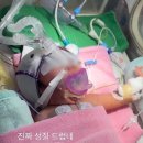 ‘낙상 마렵다’ 신생아 학대 혐의 간호사, 결국… ”강력 징계 준비” 이미지