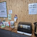 효소테라피 이미지