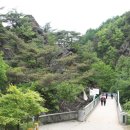 소백산오토캠핑장 이미지