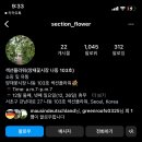 섹션플라워