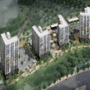 천년나무7 A 이미지