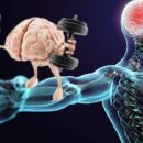 머슬메모리 이미지