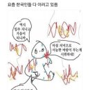 횡성한우국밥 이미지