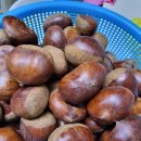 알밤약국 이미지