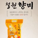 철원유통 | 철원향미 찹쌀 2025년산햅쌀 구수한 누룽지향 가득한 산지직송 후기