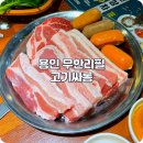 용인 처인구 맛집 가족식사로 좋은 가성비 무한리필 고기싸롱 솔직후기